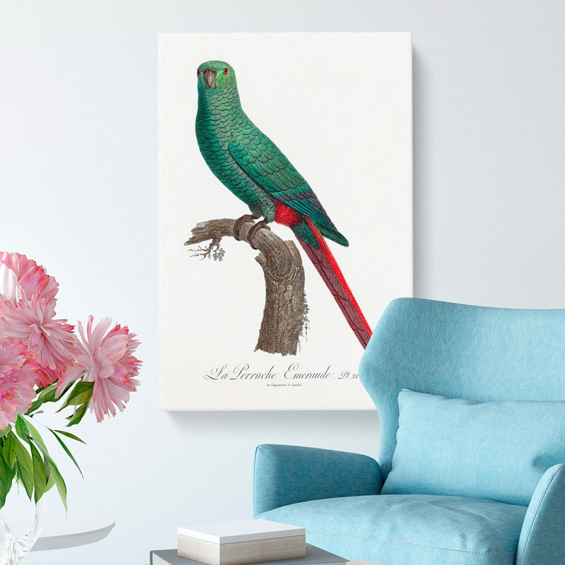 Emerald Parakeet by F. Levaillant - Wrapped Canvas, 76cm H x 50cm W x 3cm D