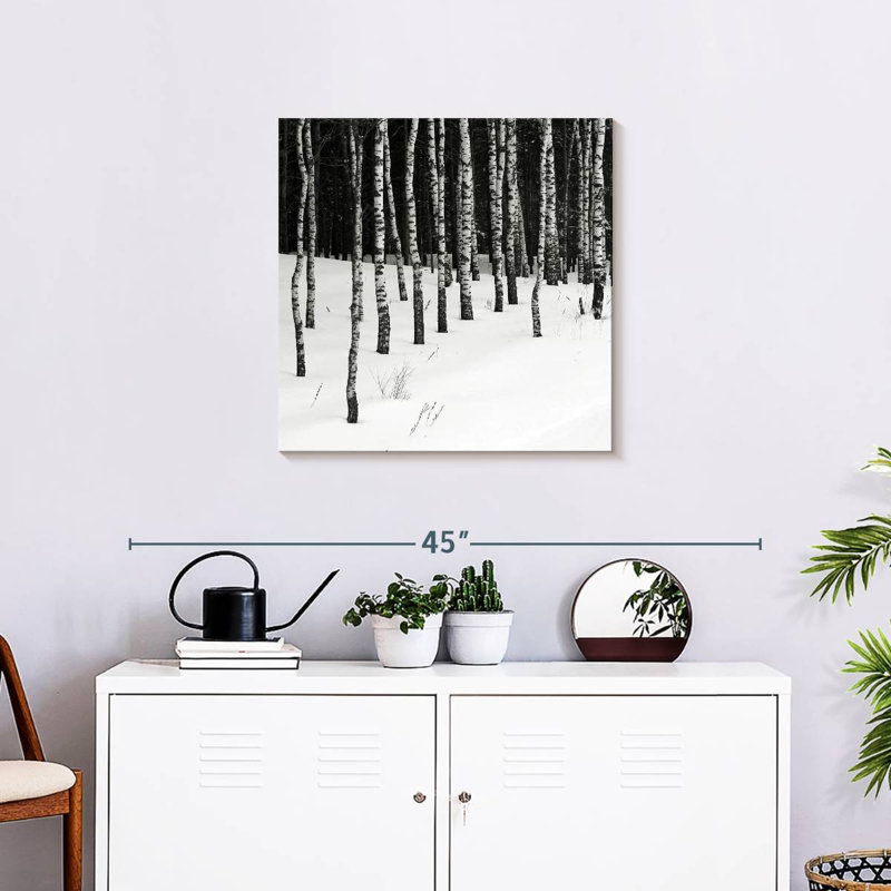 Bouleau Harnek dans la neige, H 24 po x l 24 po