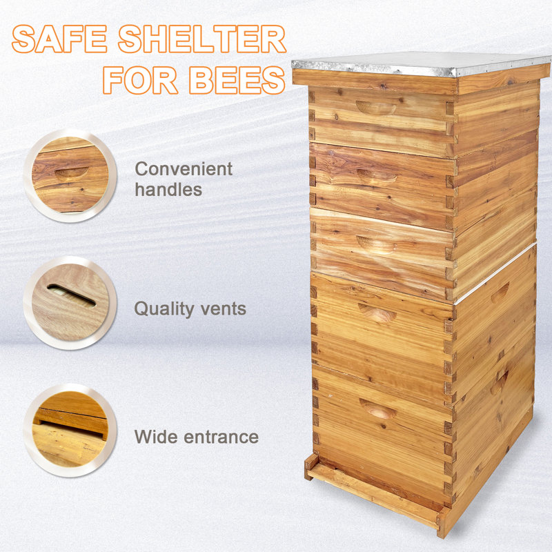  Ensemble de boîtes en bois Langstroth Beehive avec 2 boîtes profondes et 3 moyennes