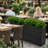 Tall Planters
