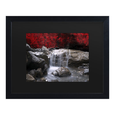 " Red Vison " by Philippe Sainte-Laudy