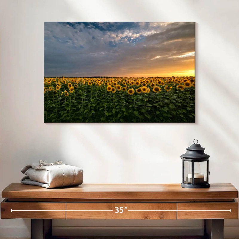 Champ de tournesols Alvord Mittenwalde, H 16 po x l 24 po