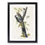 Three-Toed Woodpeckers by John Audubon - Picture Frame Painting Print-55611634-55611639