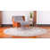 Oriental Indoor Rug