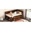 Lit de jour simple en noyer avec tablette pratique et agencement de tiroirs - Space Handy Combinaisons Modern Home Staple