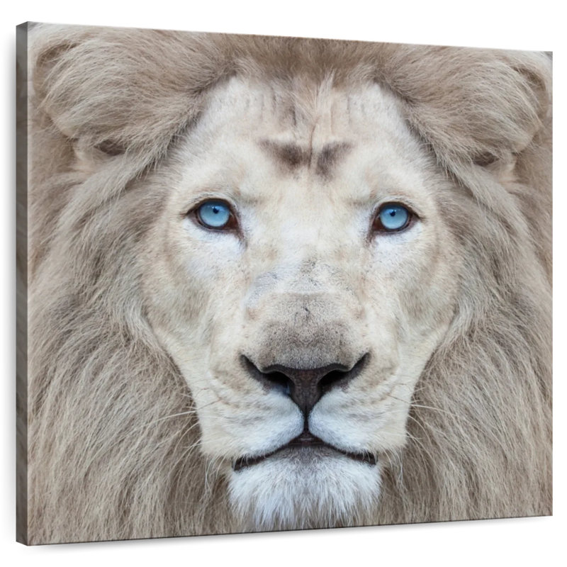 Brampt Exotic Lion, 10" H x 10" W