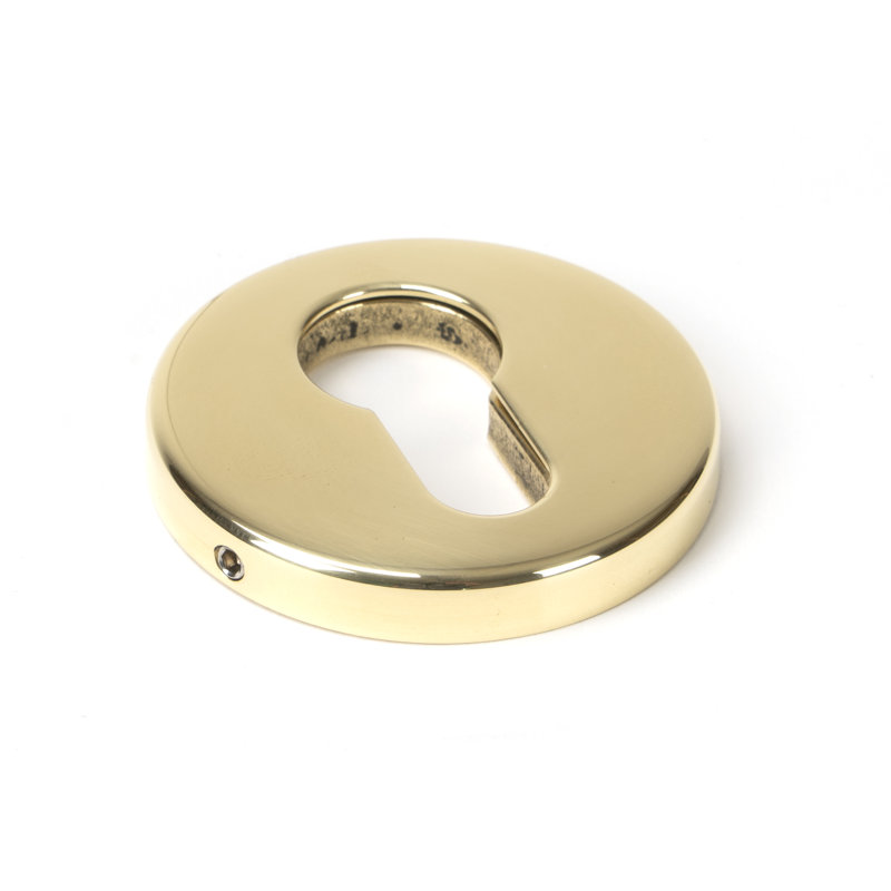 Regency Concealed Escutcheon Rosette, Polished Brass