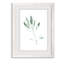 « simple sage ii »-cadre photo imprimé sur verre-1626722296-1626722272