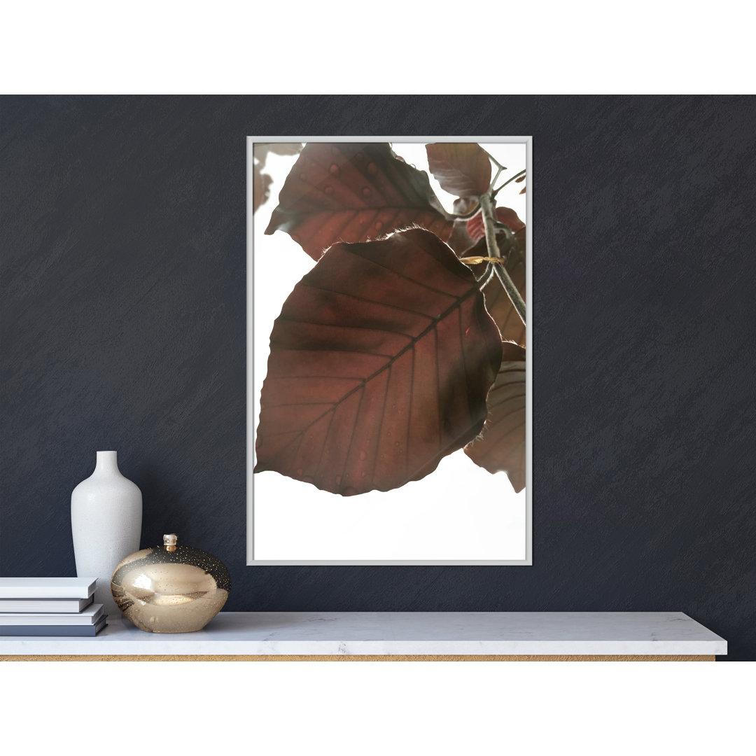 Gerahmtes Poster Burgundy Tilia Leaf