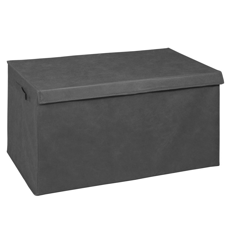 Niche Cubo Foldable Fabric Storage Trunk with Label Holder, Grey