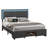 Komor Upholstered Storage Bed Frame with Charging Station and LED Lights-1853415535-1853415538
