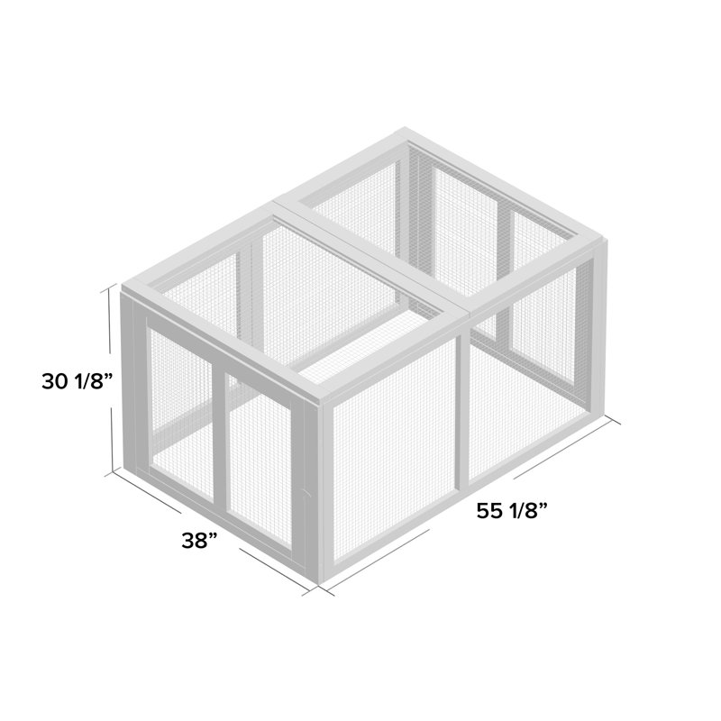 Poule de poule extrêmes Dorian
