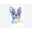 «Boston Terrier» par Lisa Whitehouse, reproduction sur toile-73555373-73555372-31919934