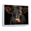 Portrait de vache - grande vache, art mural-773212311-773212305