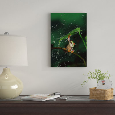 «Red-Eyed Tree Frog», reproduction de photo sur toile
