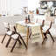 Folding Chair-510022964-510022969-510022962