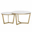 Ensemble de 2 tables basses Modernes