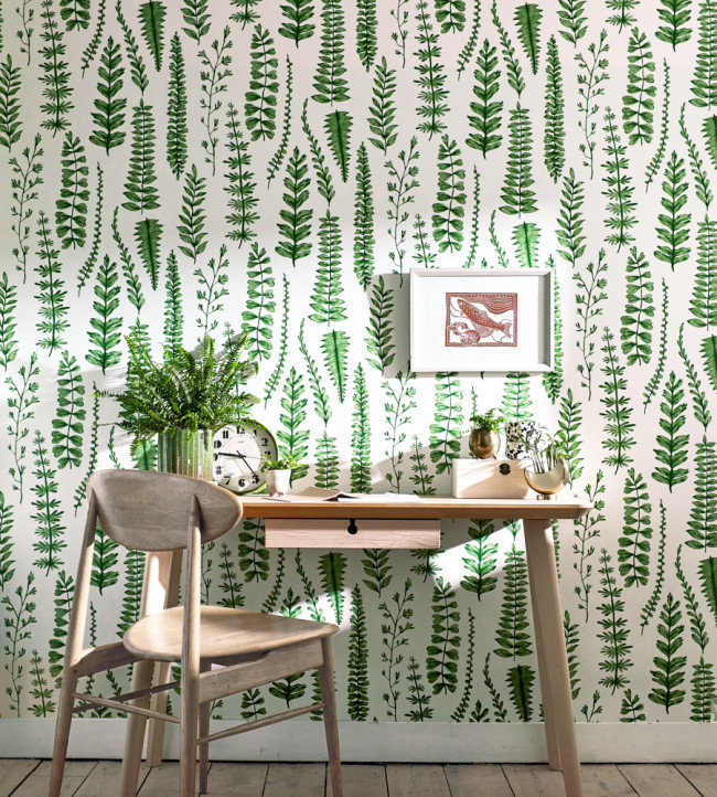 Ferns