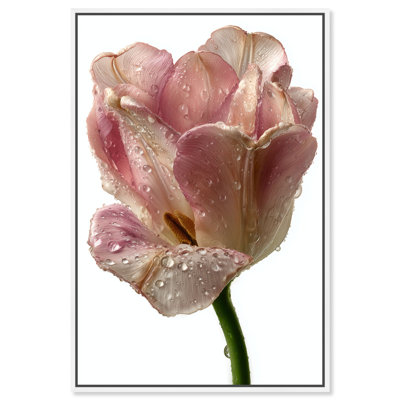 Droplet Tulip II Print by Oliver Gal