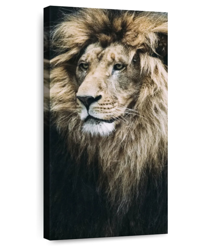 Vieux lion, H 24 po x l 12 po