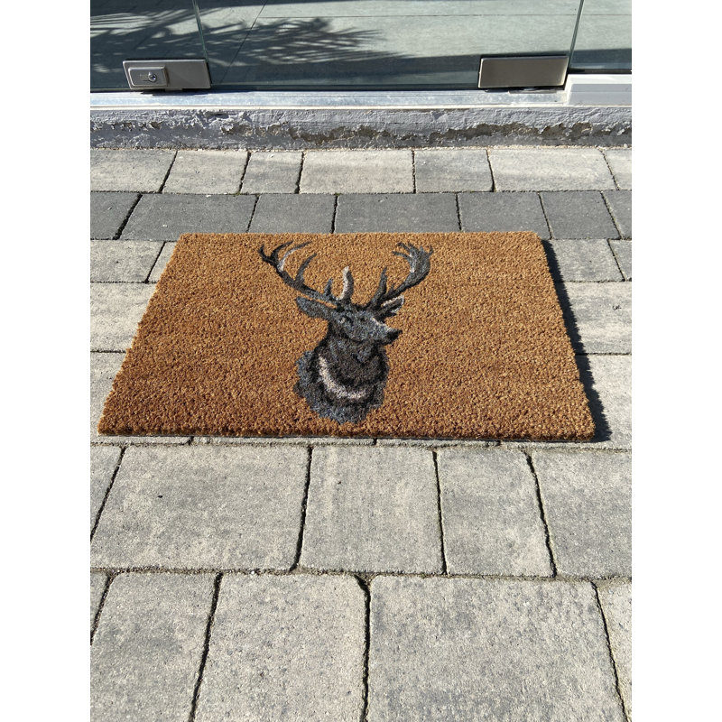 Karesinda Non-Slip Porch Doormat