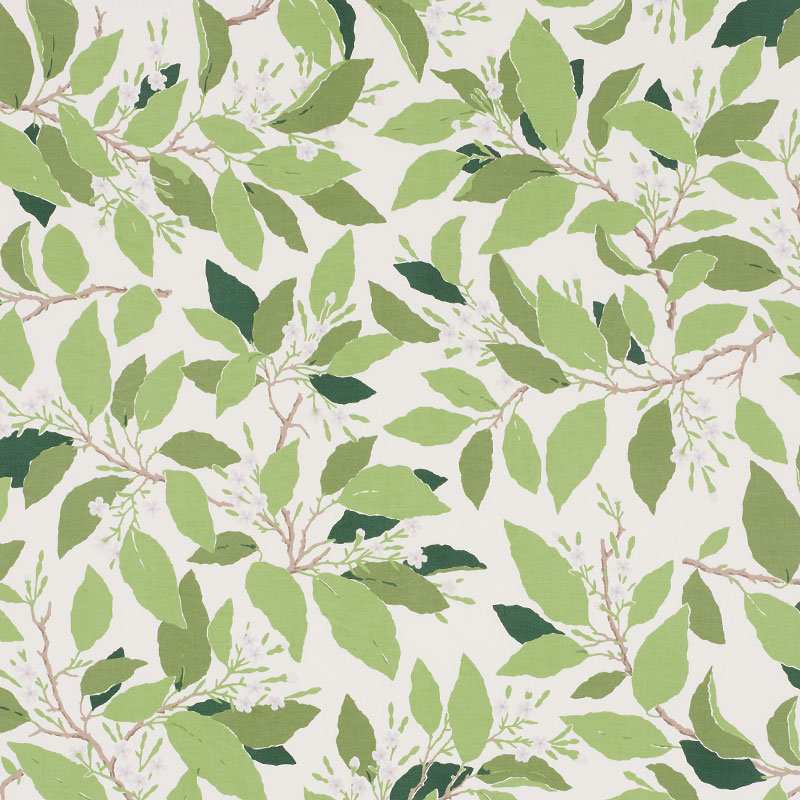 Tissu Schumacher x Miles Redd Dogwood, Ivoire