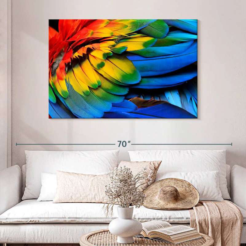 Brampt Macaw Bird Feathers