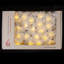 Anitta LED Natural Leaf Lilies String Light-1727409598