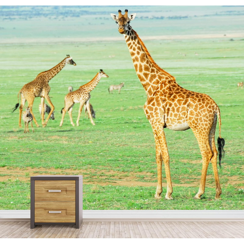 Girafe africaine, animaux de la famille, nature, photographie, paysage décoratif, paysage, L 66 po x l 96 po