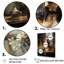 Basset hound Melody I sur toile-126386463-126386460