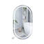 Dabira W H Medicine Cabinet Mirror