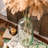 Glass Table Vase 1-97720311