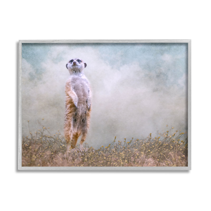 Suricate surveillant la nature de la prairie - photographie, H 11 po x l 14 po x P 1,5 po, Estampe numérique Farmhouse