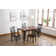 Raffe 4 - Person Solid Wood Solid Wood Top Four Leg Dining Set