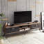 Damariae TV Stand for TVs up to 71"