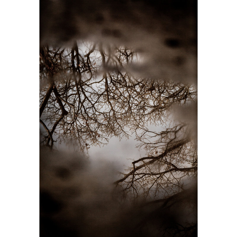 Wrapped Canvas Print, 76.2 cm H x 50.8 cm W