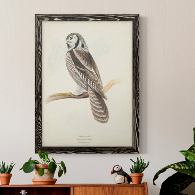 Toile encadrée de qualité supérieure Canada Owl - prête à être accrochée