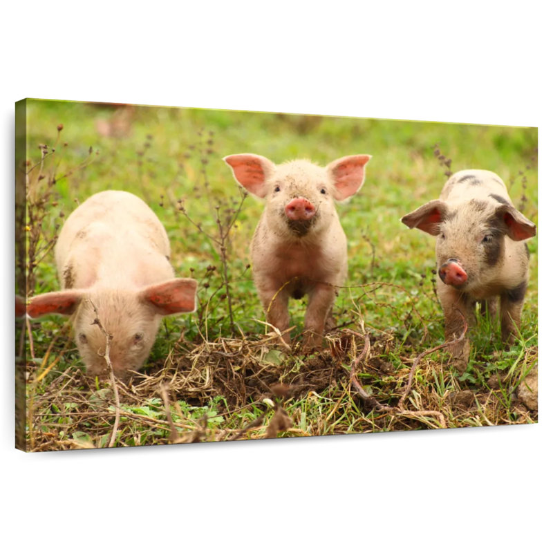 Brampt Three Piglets, 34" H x 51" W