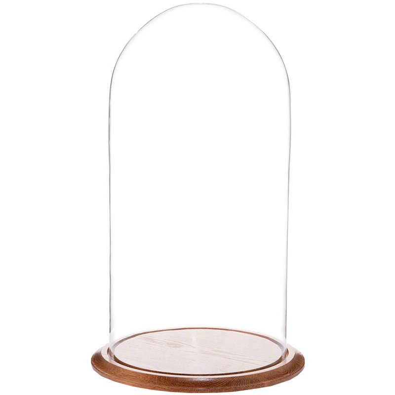 Cloche en verre Vucciria, Base en chêne, H 23 po x l 11,75 po x P 11,75 po