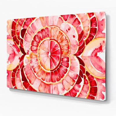 Fruit Grapefruit Pink Beige Metal Wall Art