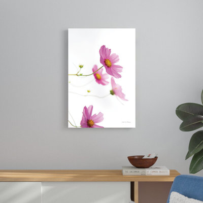 «Pale Cosmos I» par Van Swearingen, Debra - reproduction