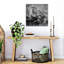 Cheetah Family Meal Contemporary Cat Nature Wildlife Wall Art Print 1 Piece Wrapped Canvas Wall Art-1205444867