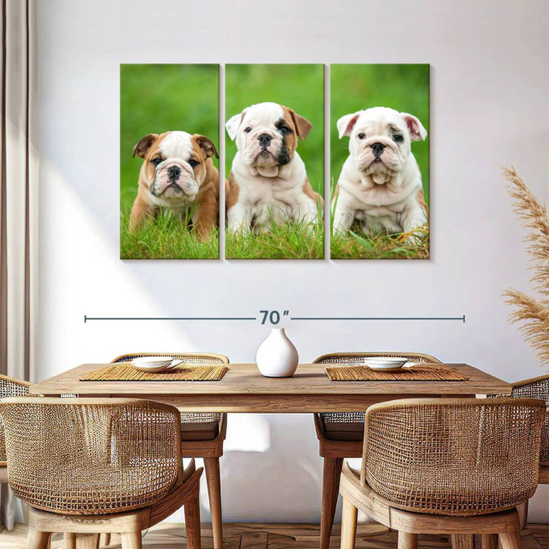 Chiots bouledogue anglais, H 36 po x l 57 po