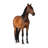 75'' Animals Cardboard Standup