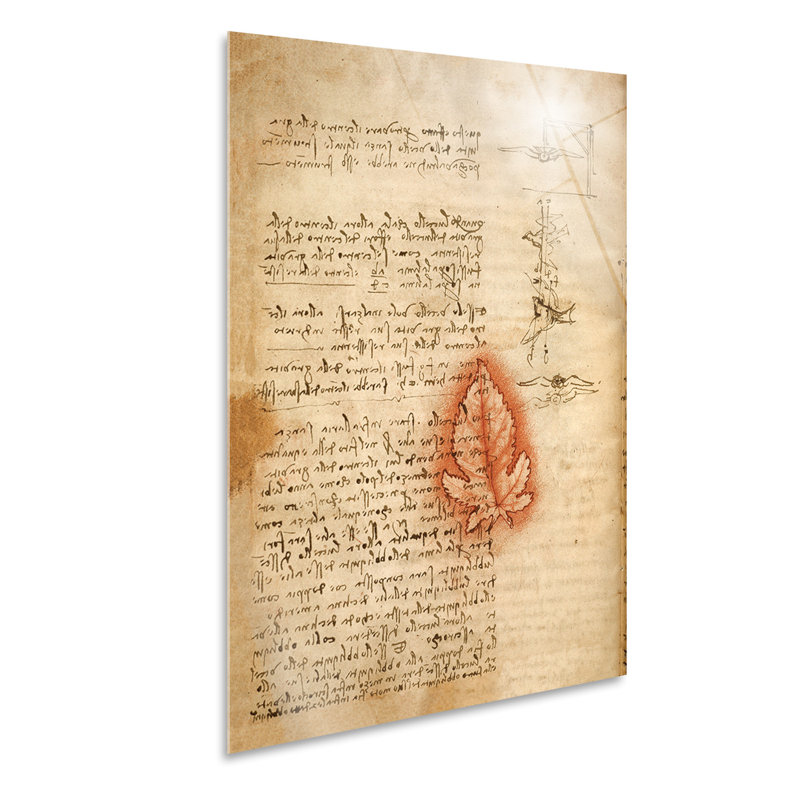 Treaty Center Of Gravity In Birds by Leonardo Da Vinci - No Frame Painting, Plastic/Acrylic, 100cm H x 70cm W