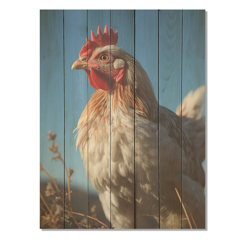 Photo de coq - animal de poulet sur bois, H 20 po x l 10 po