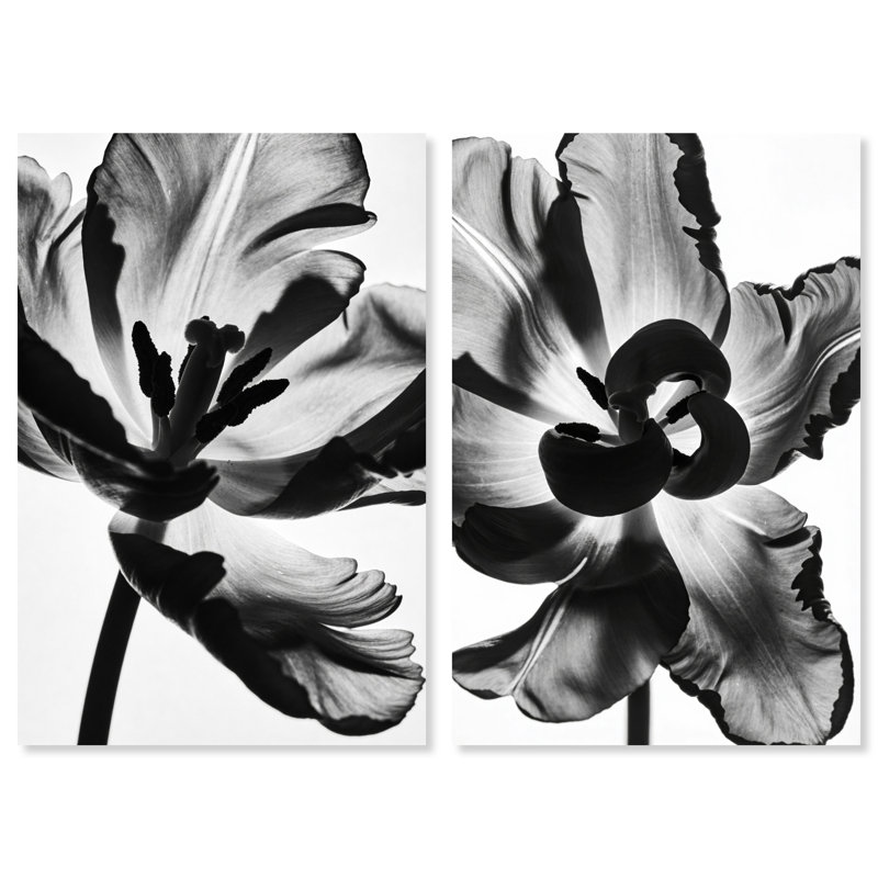 Close Up Set Floral & Botanical Canvas Print by Oliver Gal, Black Frame, 10 x 15, 54" H x 36" W, Gallery Wrapped