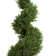 Rosemary Faux Cedar Topiary in Pot