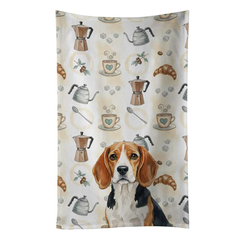 Torchon Beagle, Beagle
