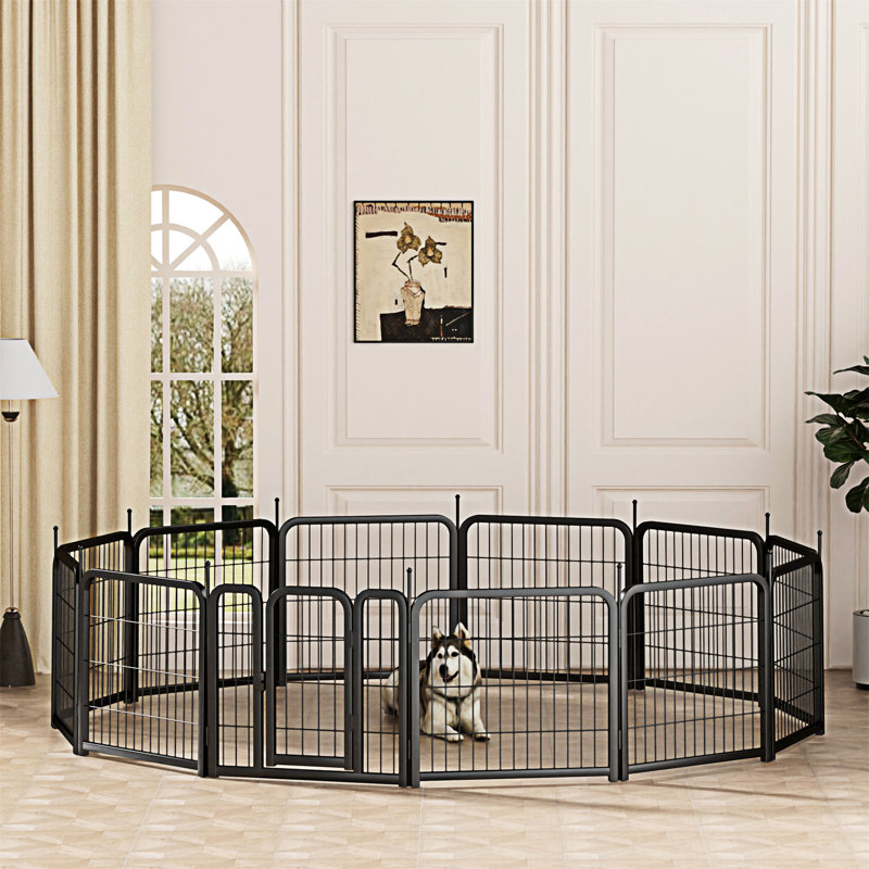Parc pour chien extérieur